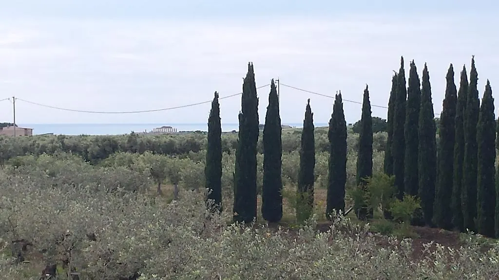 Agrisicilia Guest House Marinella di Selinunte 0*,  Italy