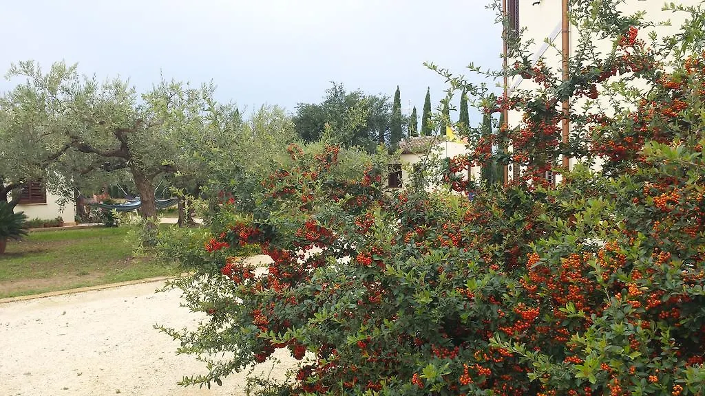 Country house Agrisicilia Guest House Marinella di Selinunte